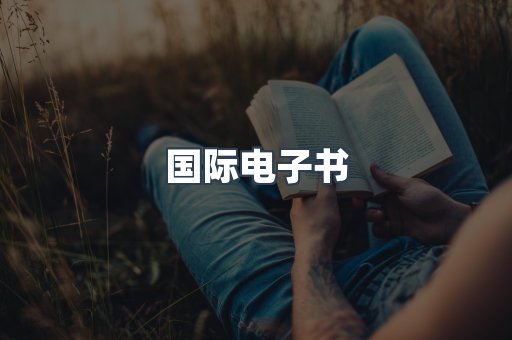 国际电子书